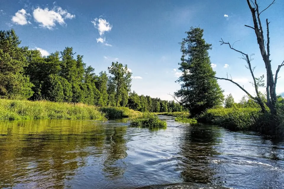 Jednodniowy spływ kajakowy Radomką i ognisko, 18.07 (sobota)