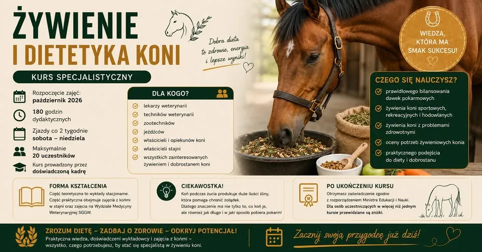 Żywienie i dietetyka koni