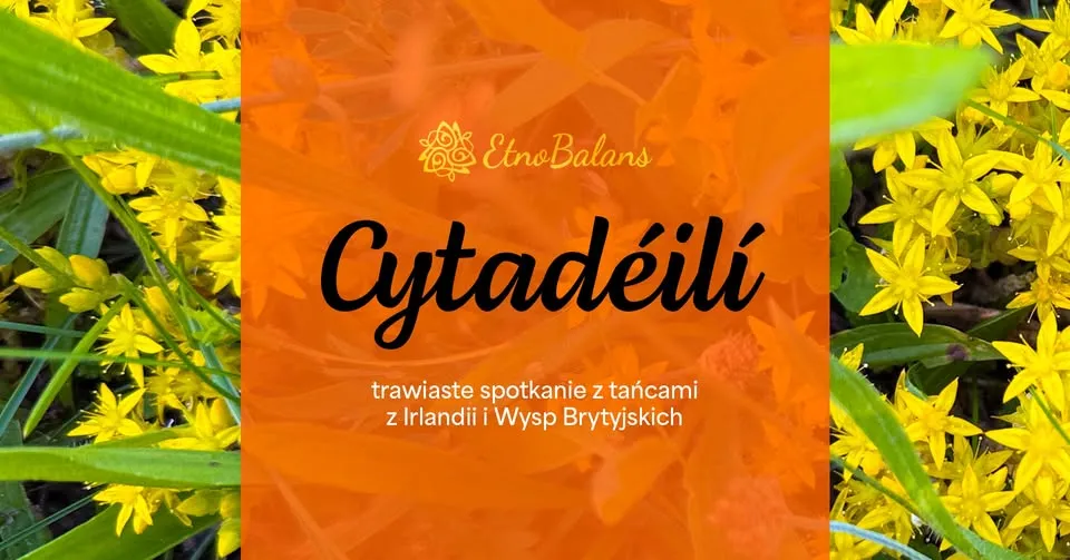 Cytadéilí 2026 | #2