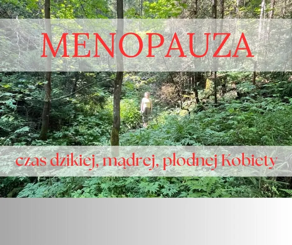 Menopauza – czas dzikiej, mądrej, płodnej Kobiety