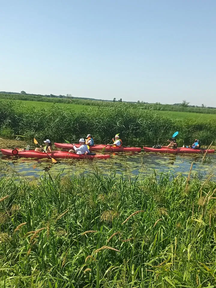 Spływ kajakowy rzeką Pilicą 