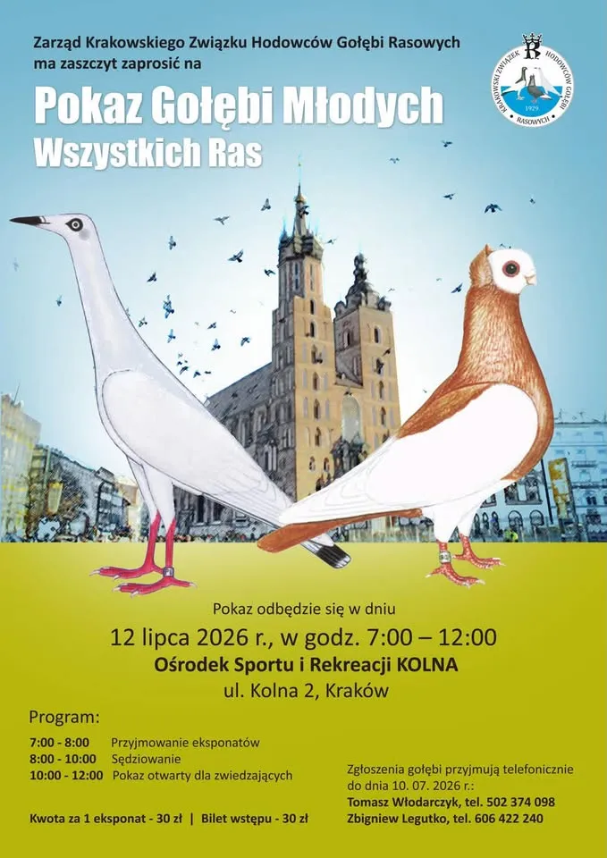 Pokaz Gołębi Młodych Wszystkich Ras 