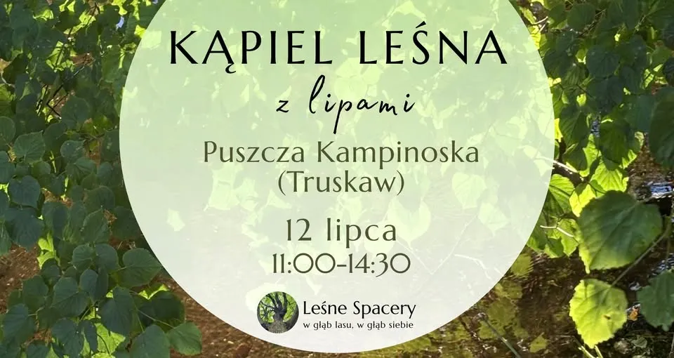 Kąpiel leśna z lipami/ Leśne spacery. W głąb lasu, w głąb siebie.