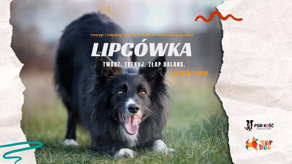 Lipcówka - Twórz. Trenuj. Złap balans. | Wakacje z psem 
