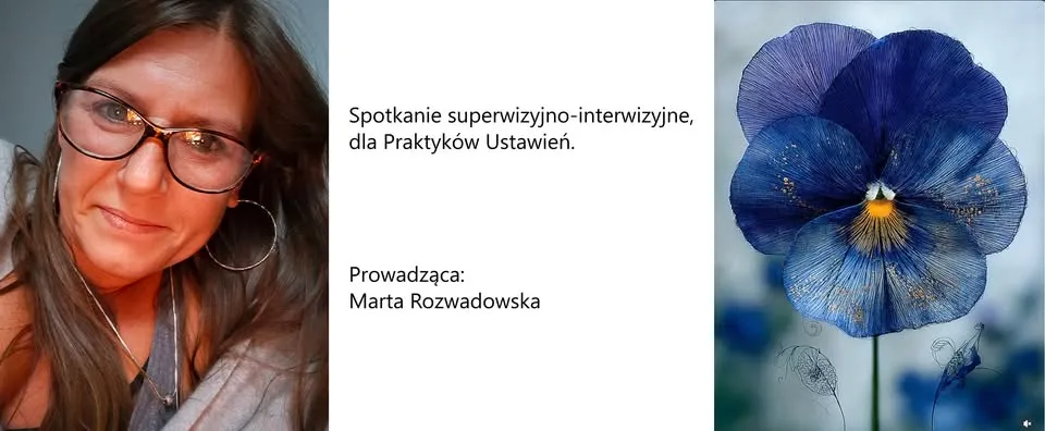 Spotkanie superwizyjno-interwizyjne, dla Praktyków Ustawień.