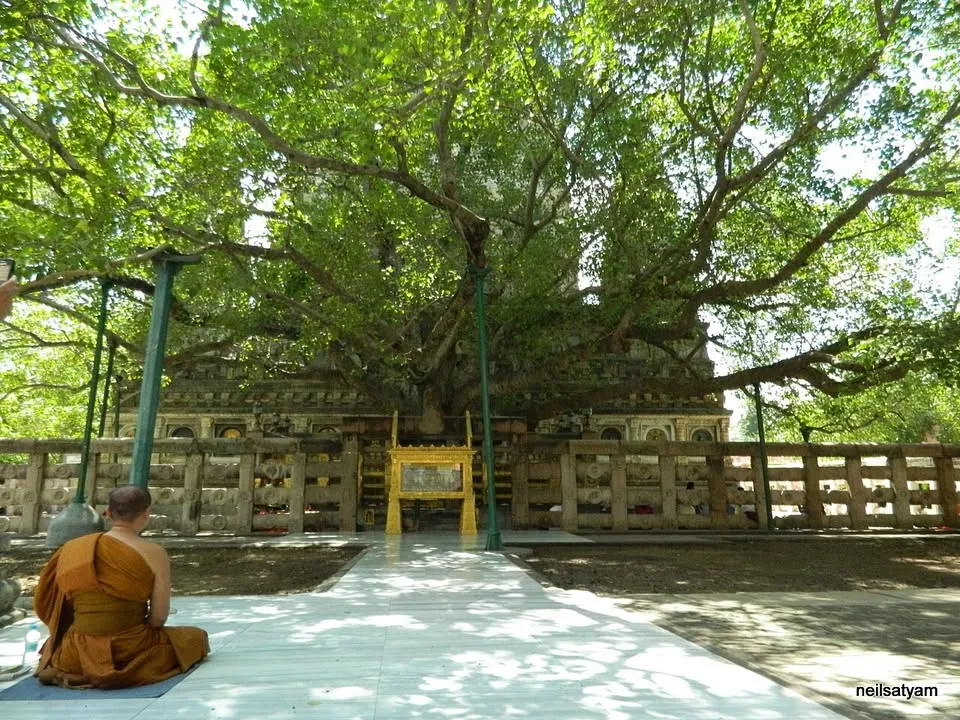Buddyzm - wiele tradycji, jedna Dhamma