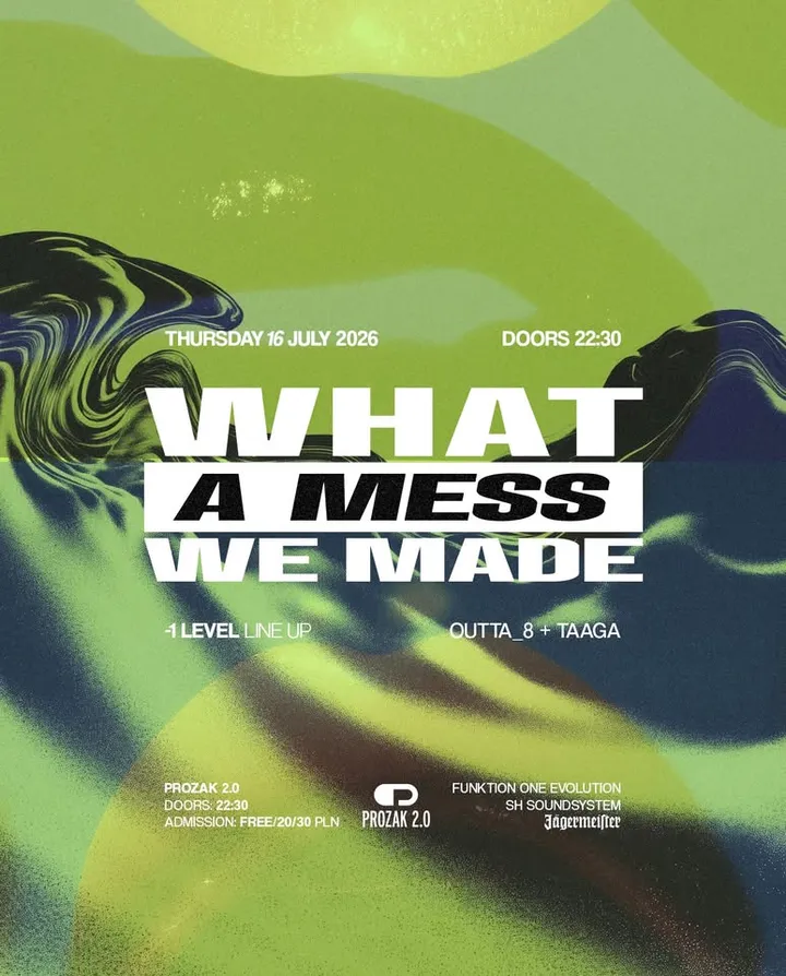 What a mess we made | Prozak 2.0