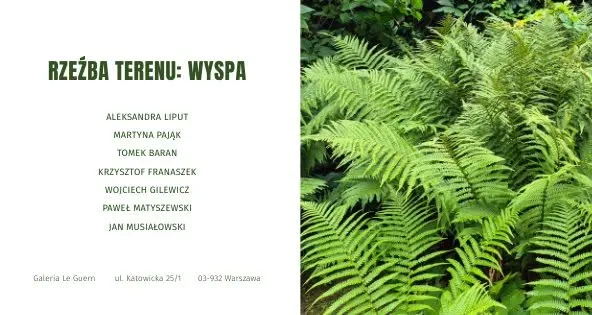 Rzeźba terenu: Wyspa / Relief: Island