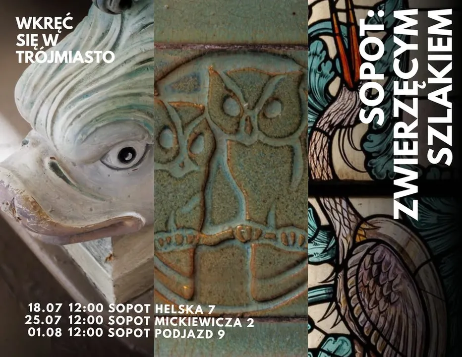 Zwiedzaj Sopot: zwierzęcym szlakiem!