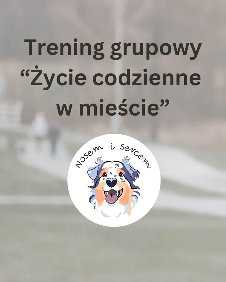 Trening grupowy "Życie codzienne w mieście" w Bydgoszczy