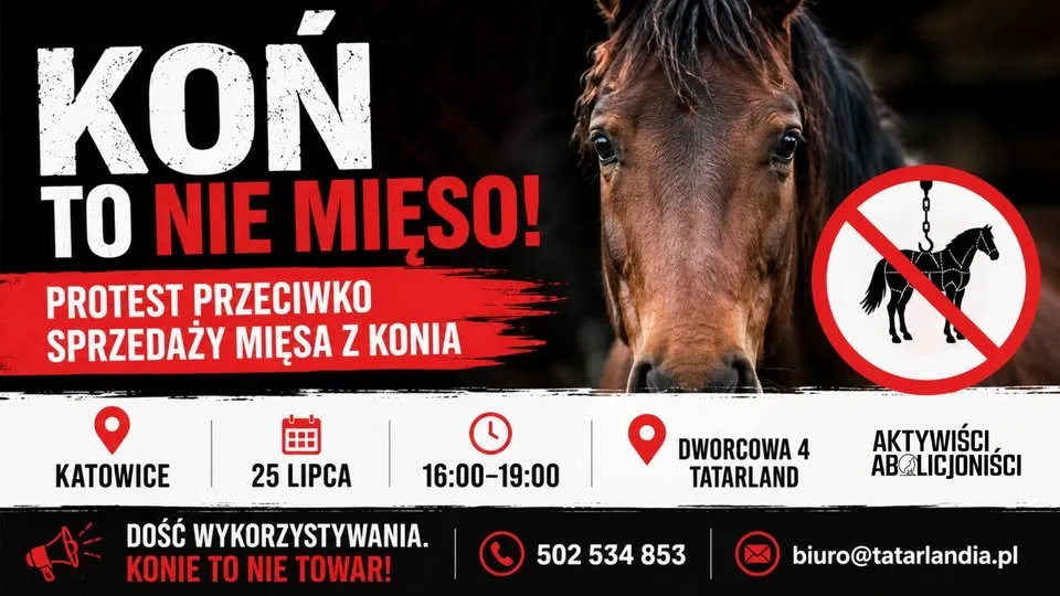 TATARLAND - WYCOFAJCIE MIĘSO Z KONIA!