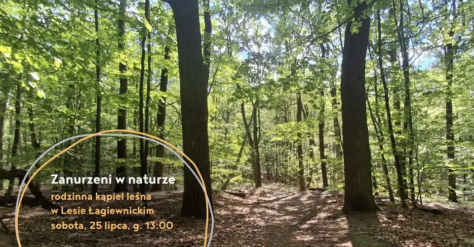 Zanurzeni w naturze - rodzinna kąpiel leśna w Lesie Łagiewnickim