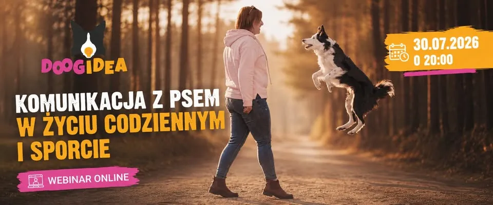 Komunikacja z psem w życiu codziennym i sporcie - WEBINAR 
