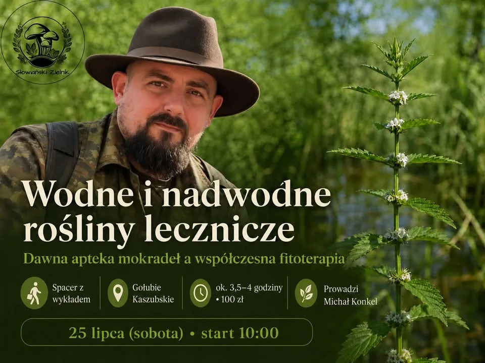 Wodne i nadwodne rośliny lecznicze. Dawna apteka mokradeł a współczesna fitoterapia