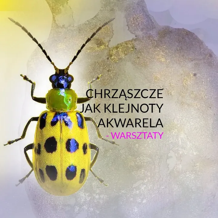 CHRZĄSZCZE JAK KLEJNOTY - AKWARELA