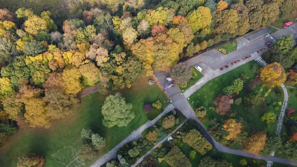 Botaniczna Piątka Łódź – edycja jesienna