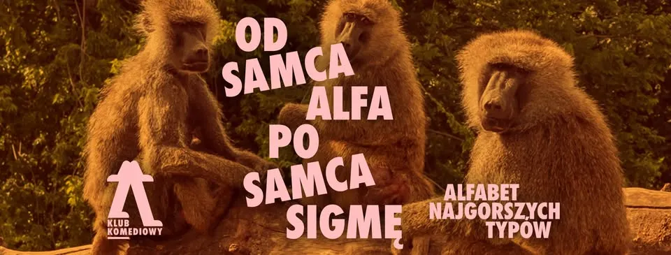 Od Samca Alfa po Samca Sigmę: alfabet najgorszych typów - spektakl impro | [25.07]