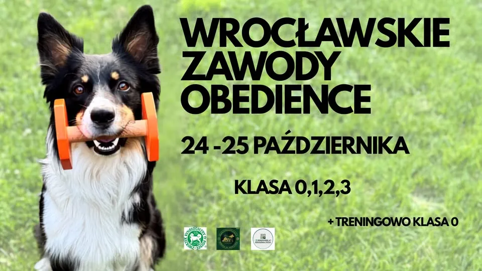 Wrocławskie Zawody Obedience