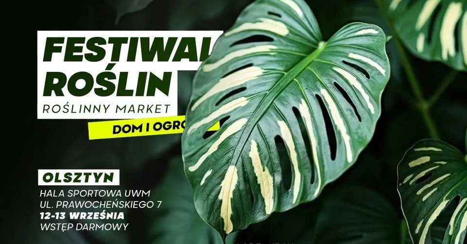 Plant Festival in Olsztyn - a huge plant market at great prices