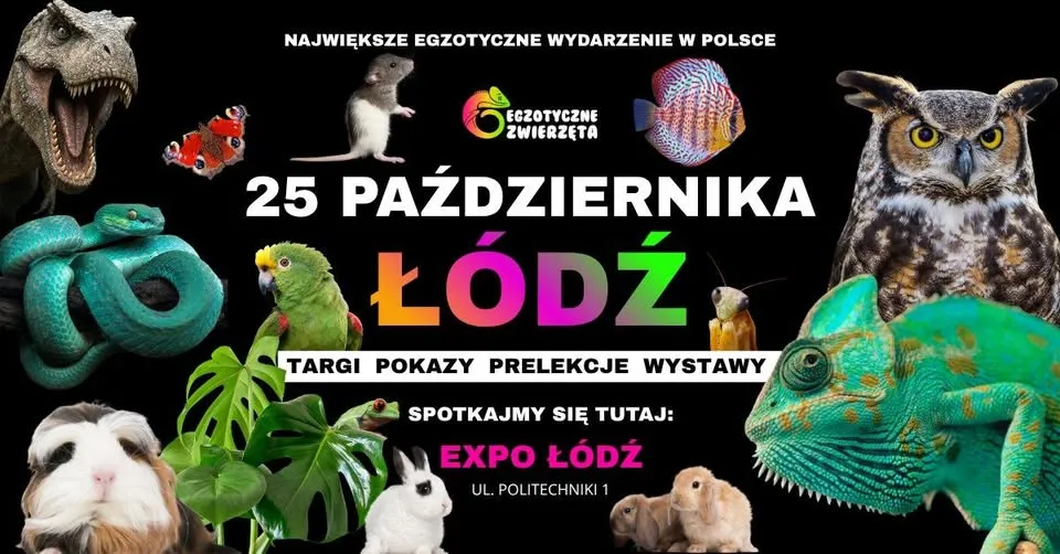 ŁÓDŹ 25 PAŹDZIERNIKA – EGZOTYCZNE ZWIERZĘTA – TERRARYSTYKA AKWARYSTYKA I WIELE WIĘCEJ