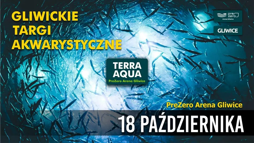 GLIWICKIE TARGI AKWARYSTYKI 18 PAŹDZIERNIKA 2026