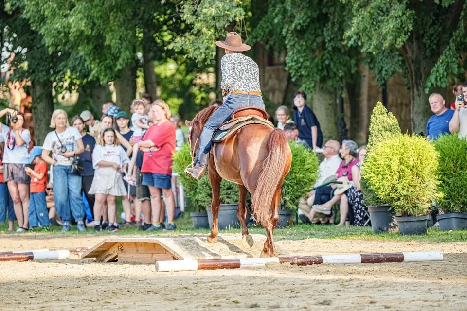 III Edycja Podwórkowych Zawodów Konnych