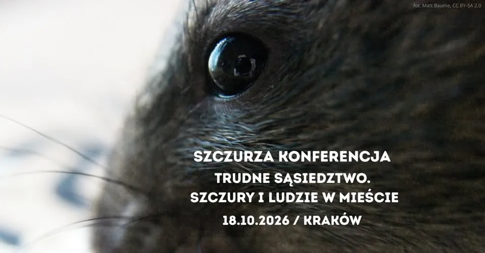 Szczurza Konferencja: Trudne sąsiedztwo. Szczury i ludzie w mieście / Kraków, 18.10.2026