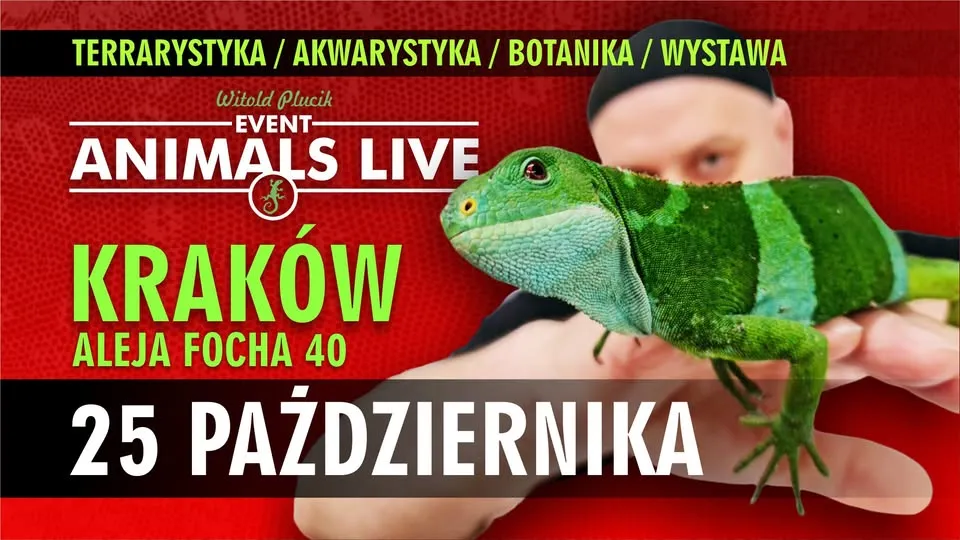 Animals Live KRAKÓW – 25 Października 2026 Terrarystyka & Akwarystyka & Botanika