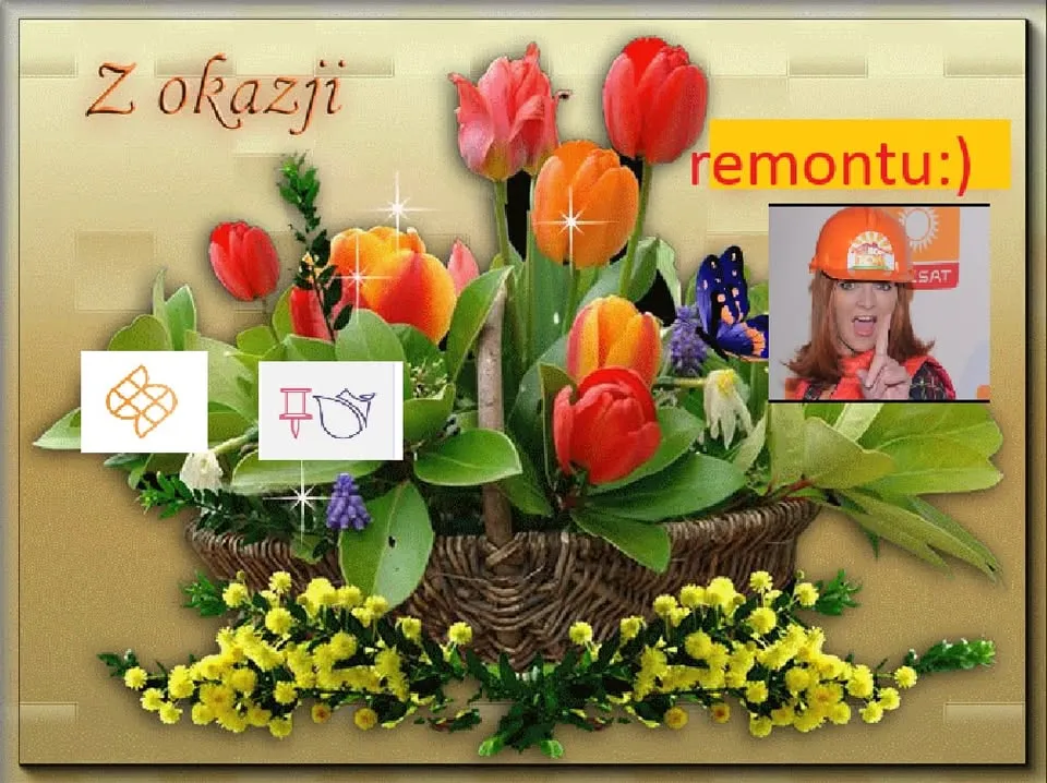 tulipanie wruć…