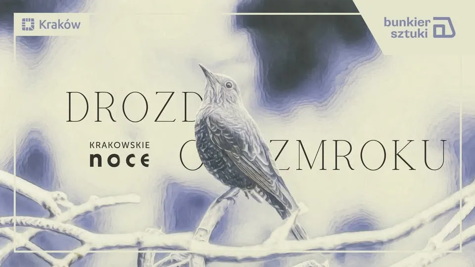 Drozd o zmroku. Noc Poezji 2026