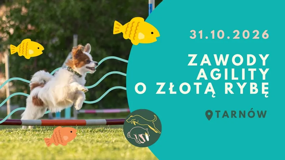 Zawody treningowe o Rybę 31.10.2026 Tarnów