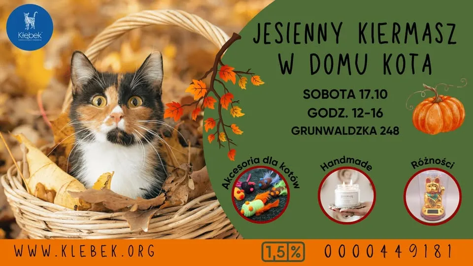 Jesienny Kiermasz w domu kota vol. 2