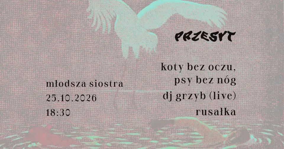 PRZESYT: Koty bez oczu, psy bez nóg ✦ DJ Grzyb (live) ✦ Rusałka