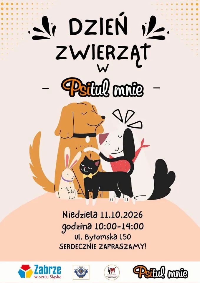 Światowy Dzień Zwierząt w Psitulu