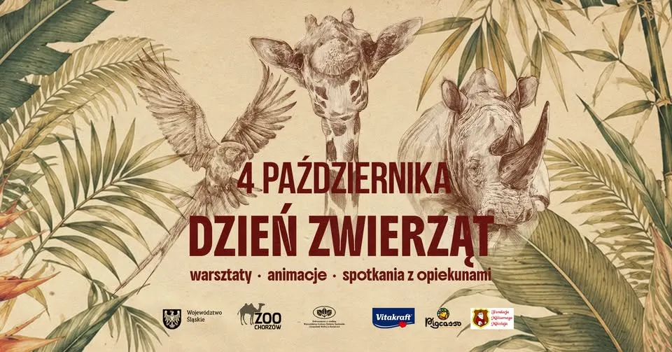 Dzień Zwierząt w Śląskim ZOO 🦒🐘🐒