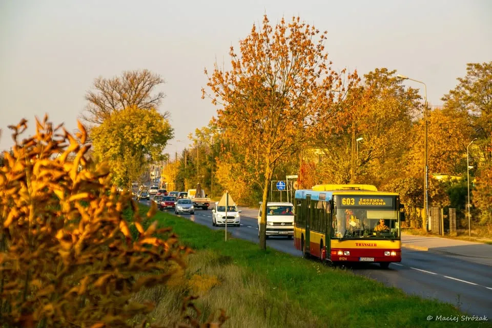 Jesienne klimaty z jedynym takim MAN-em