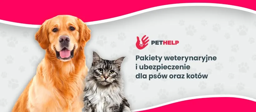 PET DAY