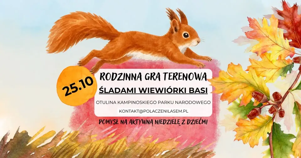 Rodzinna gra terenowa – ŚLADAMI WIEWIÓRKI BASI