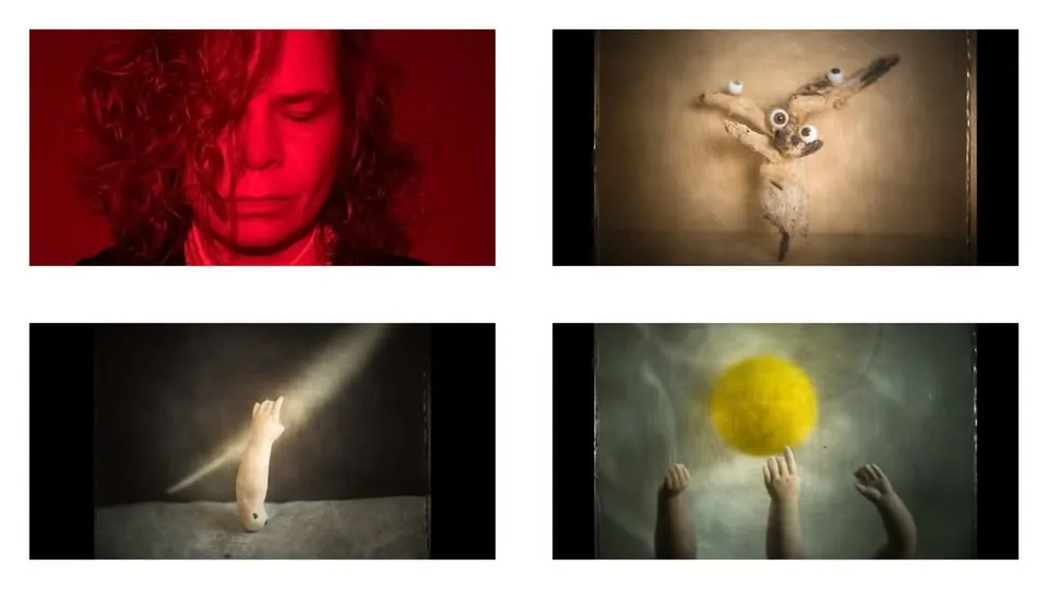 Gość Loży – Haruhisa Camera Collective – Monika Cichoszewska