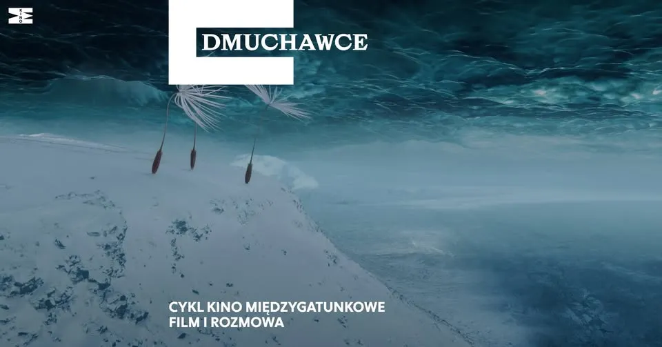 🦌CYKL KINO MIĘDZYGATUNKOWE: 🌾„Dmuchawce” | 🎙️film i rozmowa